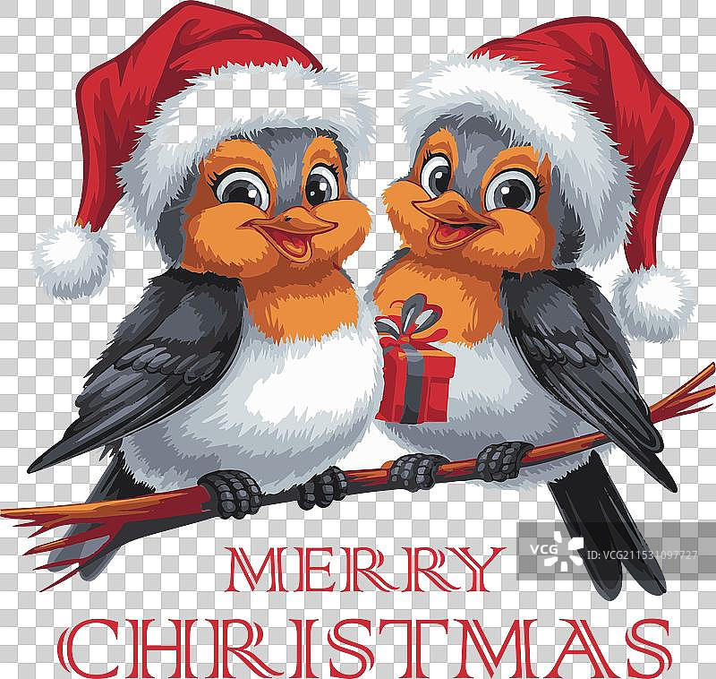 与羽毛朋友们共度圣诞节的欢乐时光图片素材