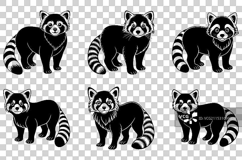 红熊猫剪影图片素材