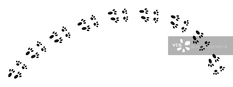 兔子在湿泥或雪地上的爪印图片素材