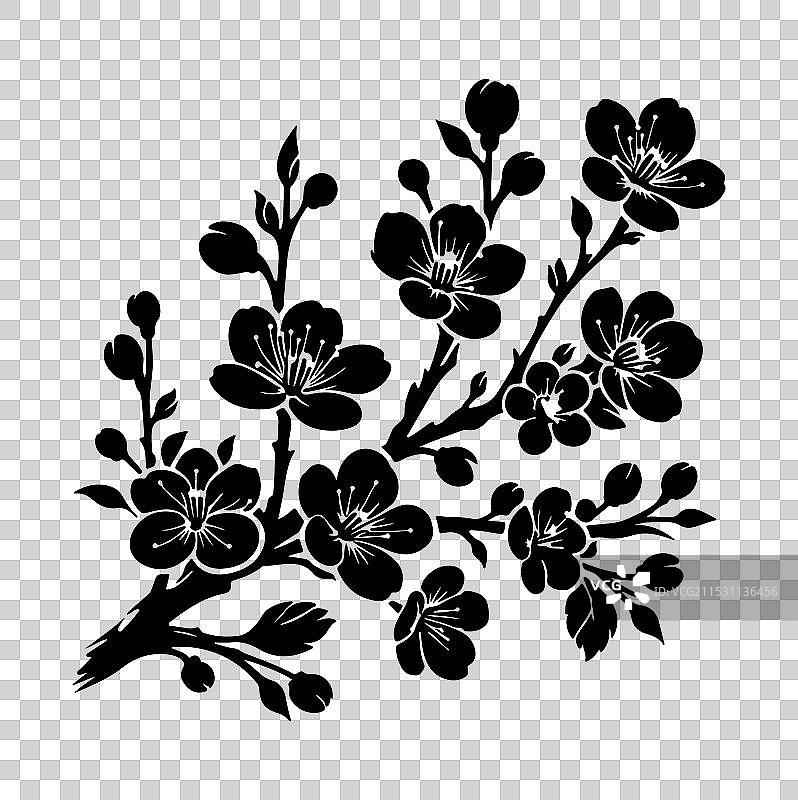 樱花花朵剪影艺术图片素材