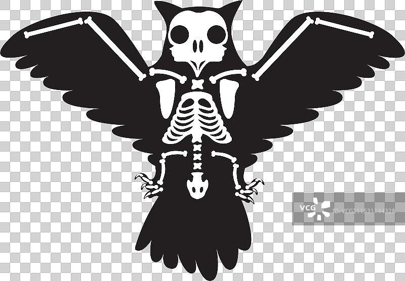 飞翔的猫头鹰轮廓与X光骨骼图片素材