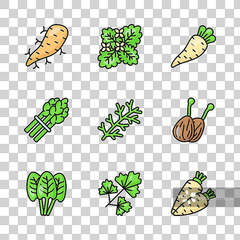 下载这些美丽而惊人的蔬菜图片素材