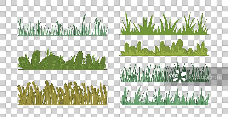 茂盛的植被和草地图片素材
