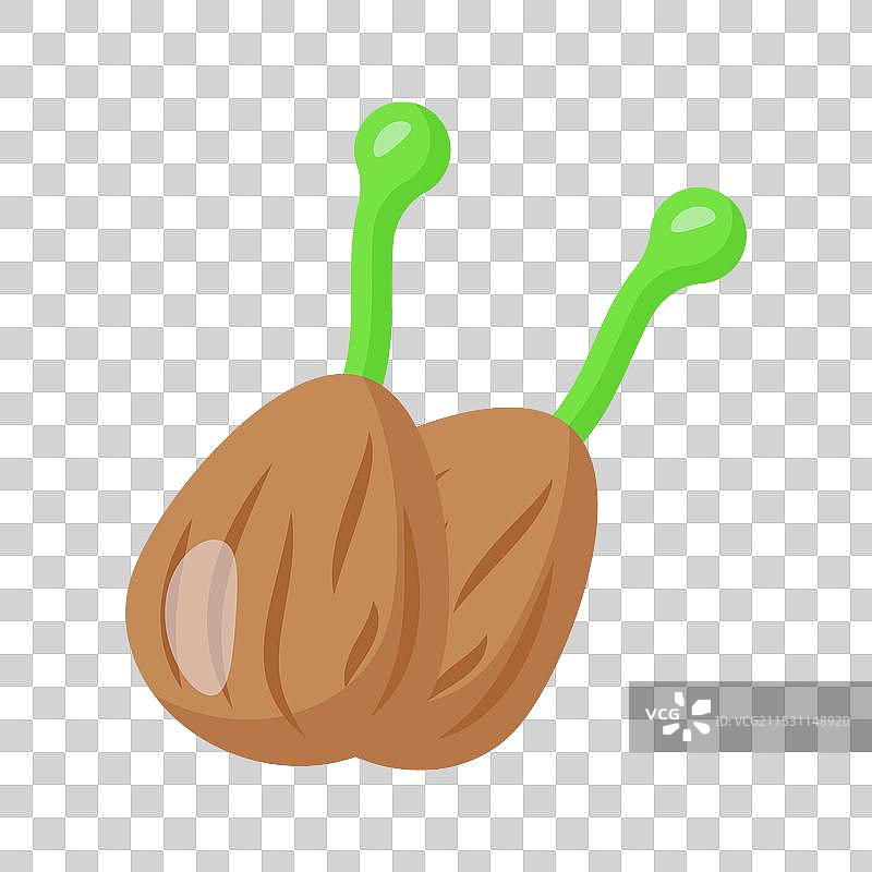 刺山柑图片素材