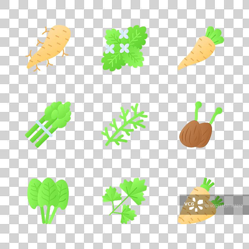 下载这些美丽而惊人的蔬菜图片素材