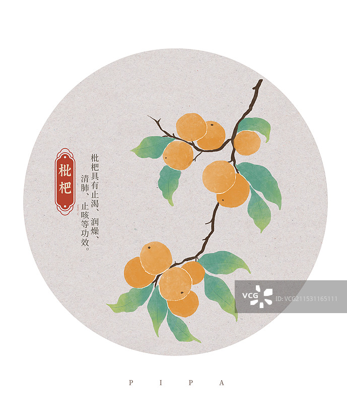 枇杷水彩插画图片素材