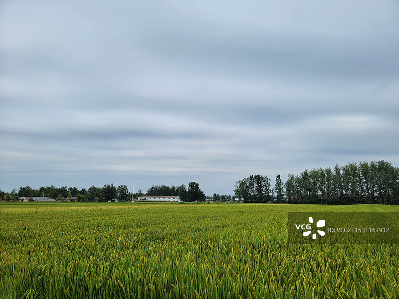 田间地头走一走图片素材