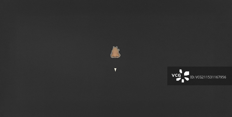 《关于盲犬2》平版图片素材