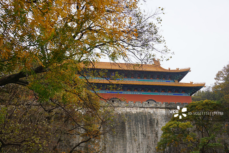 南京的秋（明孝陵）图片素材