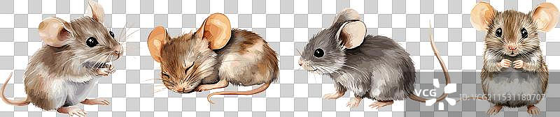 可爱的水彩老鼠套装，包含睡觉、坐着和走路的姿势图片素材