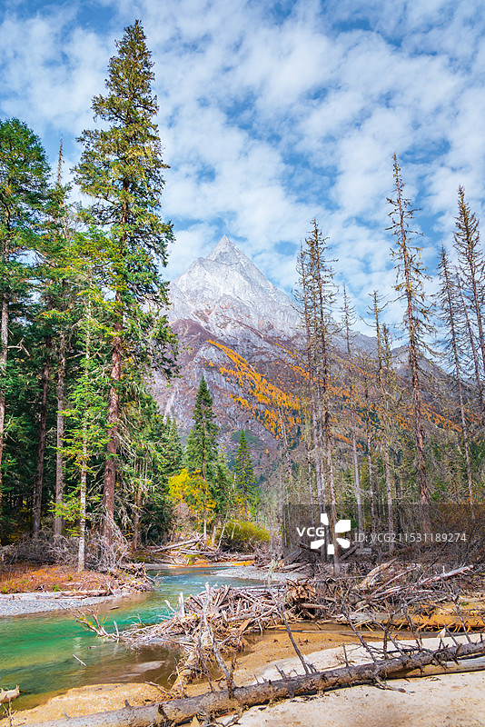 四姑娘山长坪沟秋季风光图片素材