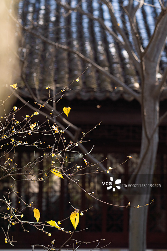 沧浪亭雪景图片素材