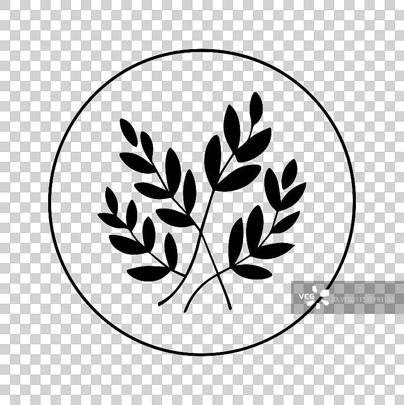 月桂树叶框架分支剪影图片素材