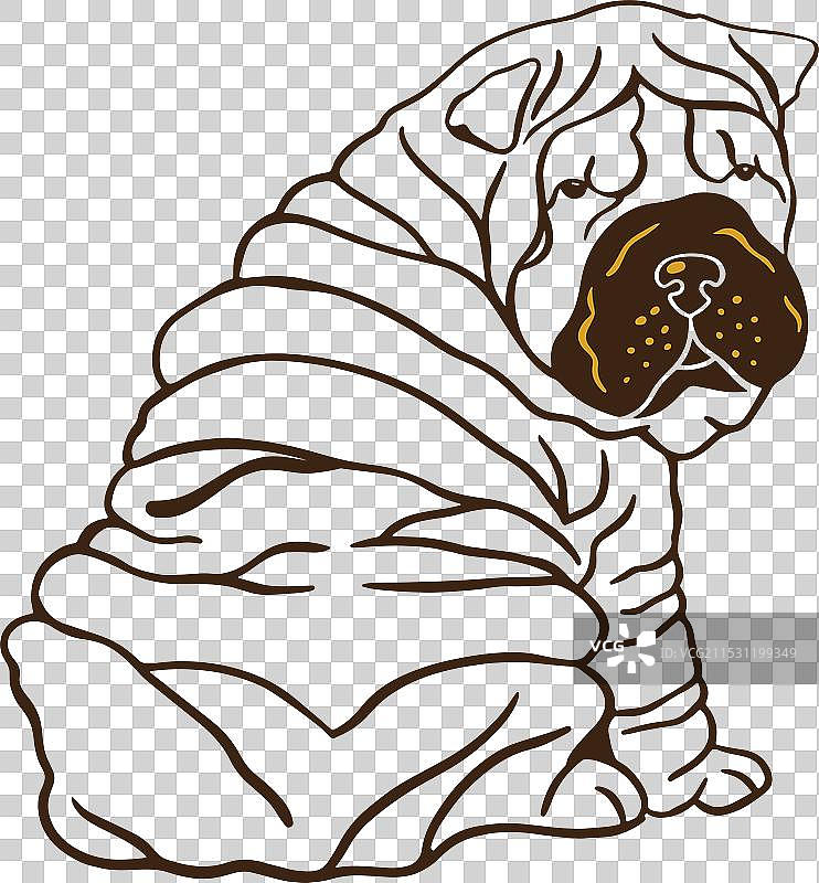 沙皮狗铅笔线条画艺术背景色图片素材