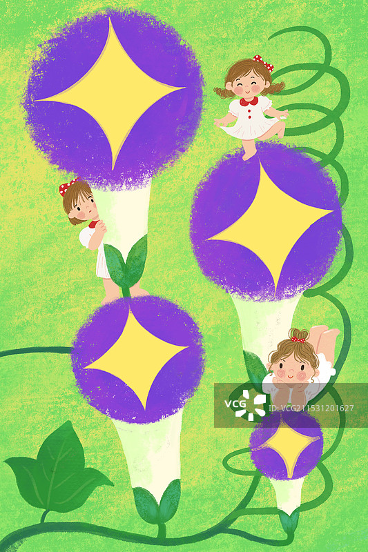 牵牛花图片素材