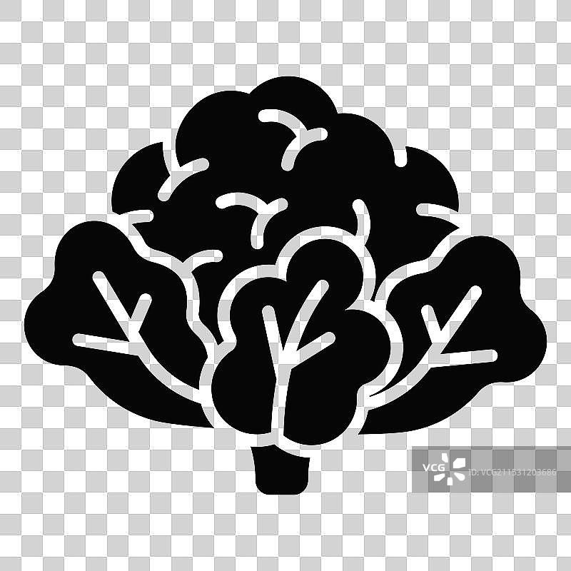 花椰菜图片素材