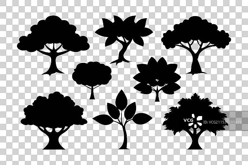 白色背景上的纳塔莎榕树剪影套装图片素材