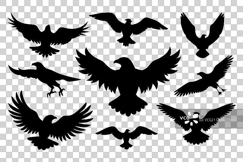手绘鹰的轮廓集合，平面设计图片素材
