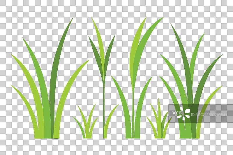 随机形状的草丛平铺在白色背景上图片素材