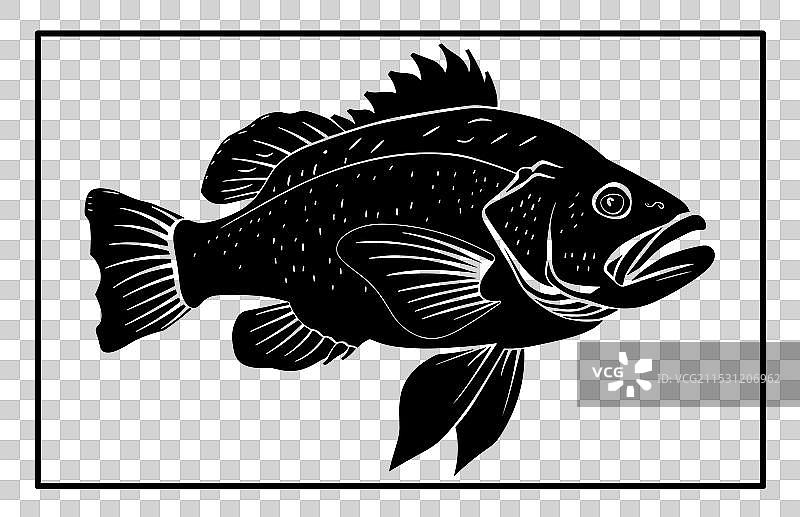 石斑鱼标志模板剪影图片素材