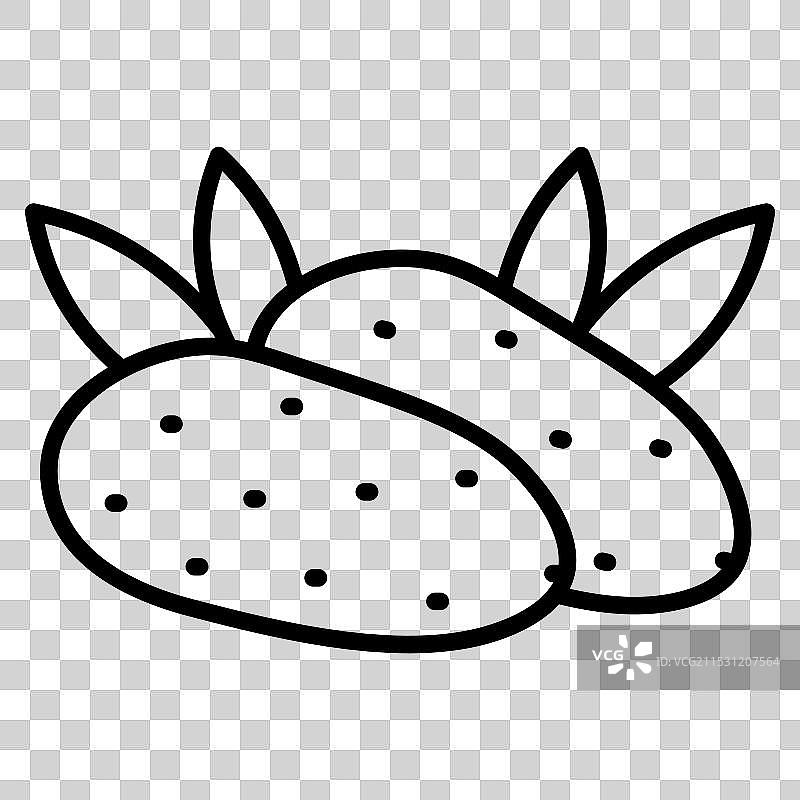 雪莲果图片素材