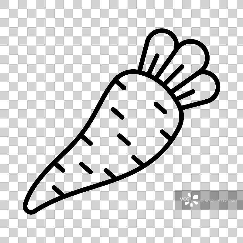 欧洲防风根图片素材