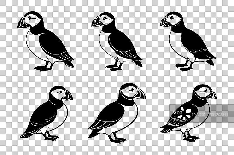 一组海雀剪影图片素材