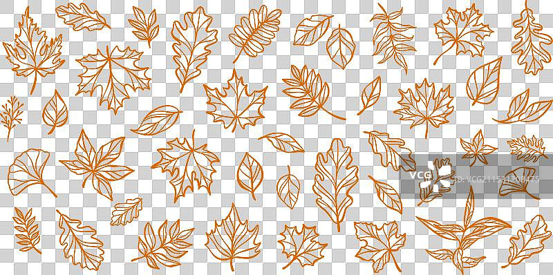 秋叶线条艺术涂鸦套装图片素材