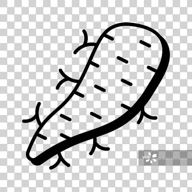 箭根粉图片素材