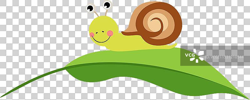可爱的蜗牛在绿色叶子上图片素材