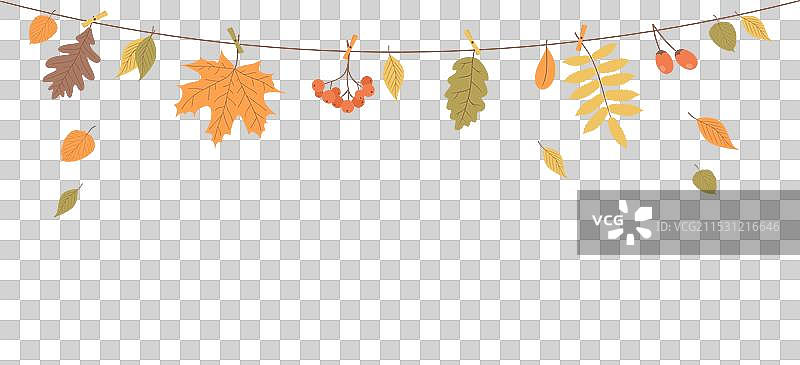 秋天的树叶和浆果挂在绳子上图片素材