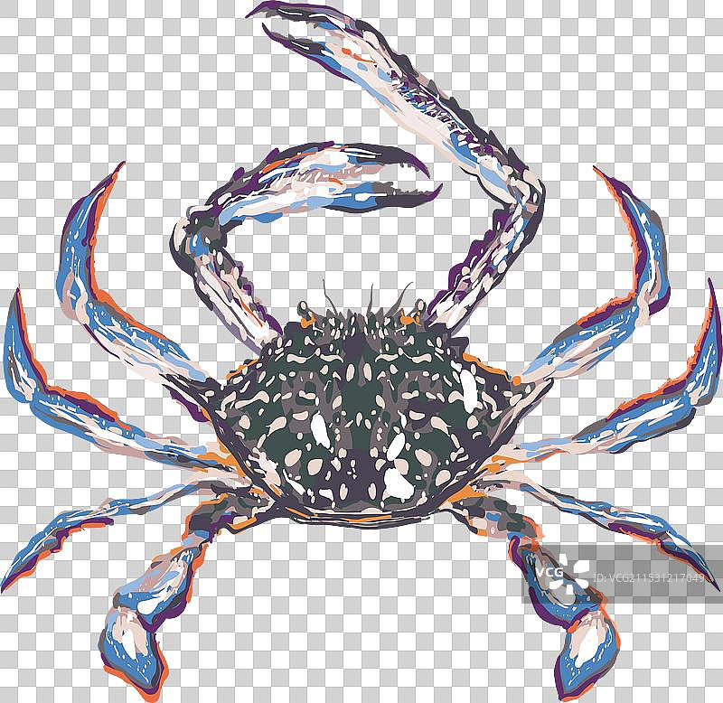 海鲜新鲜出海的马蟹和蓝蟹图片素材