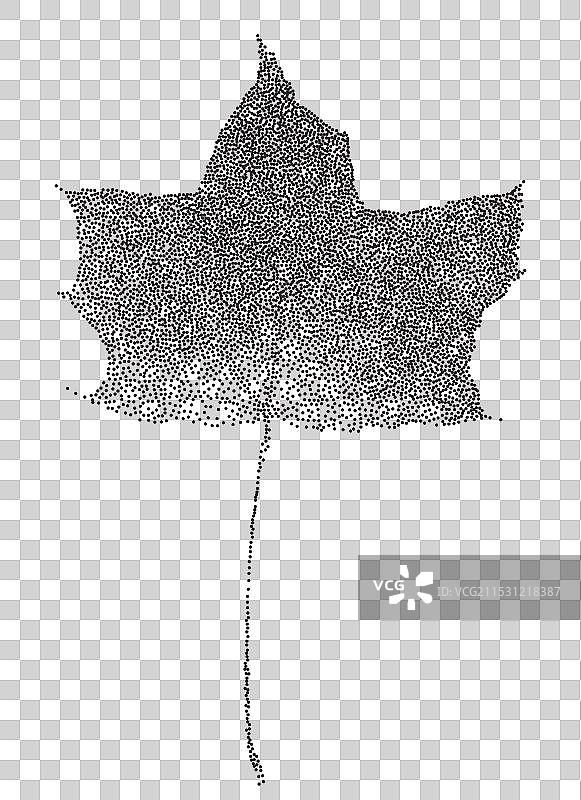 点状颗粒的单色枫叶图片素材