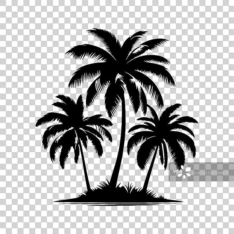 白色背景上的棕榈树剪影图片素材