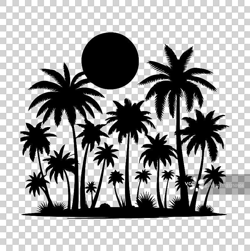 白色背景上的棕榈树剪影图片素材