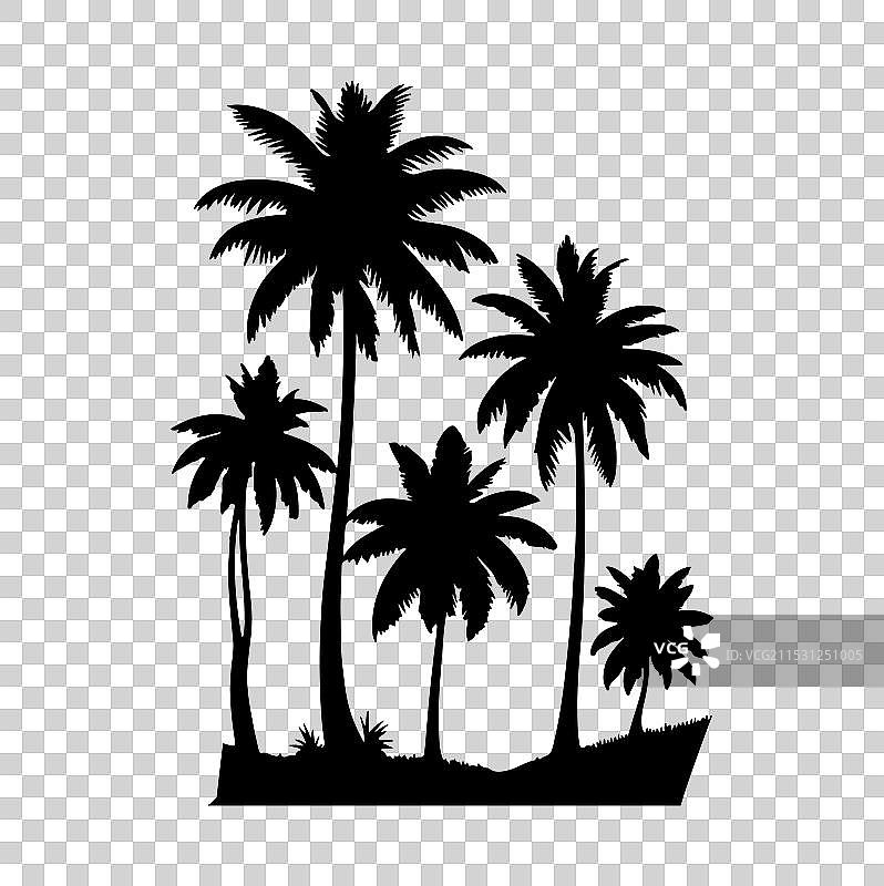 白色背景上的棕榈树剪影图片素材