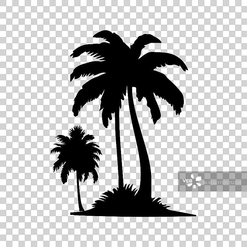 白色背景上的棕榈树剪影图片素材