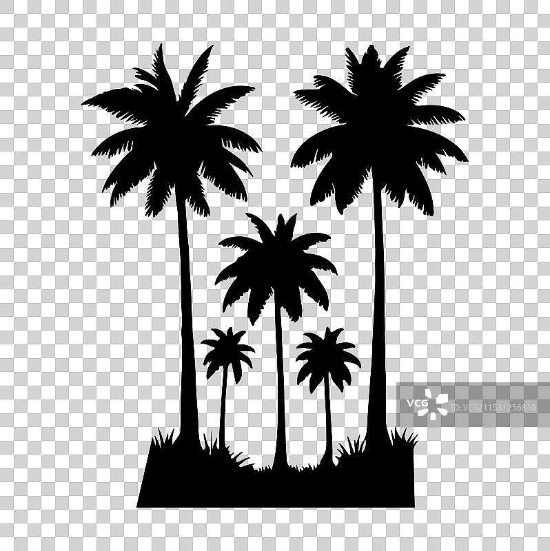 白色背景上的棕榈树剪影图片素材