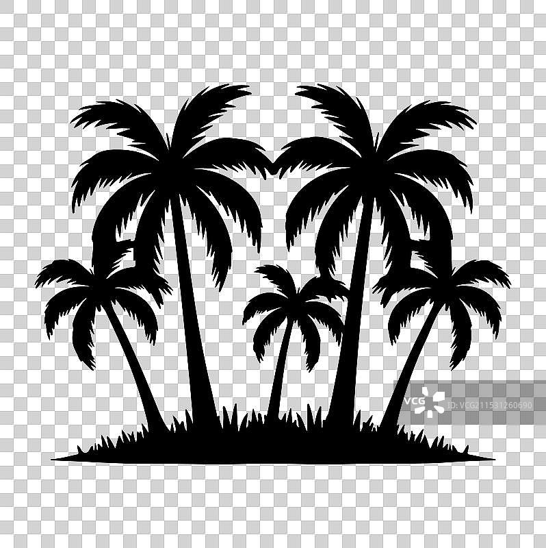 白色背景上的棕榈树剪影图片素材