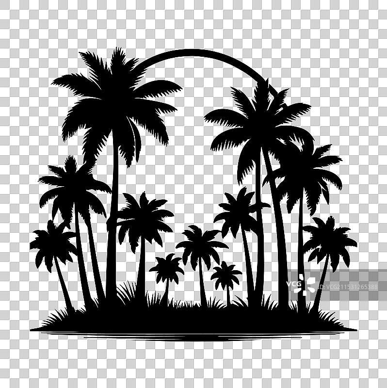 白色背景上的棕榈树剪影图片素材