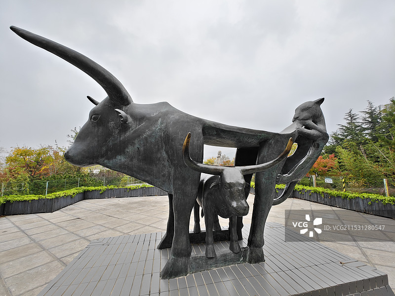 青岛世界园艺博览园图片素材