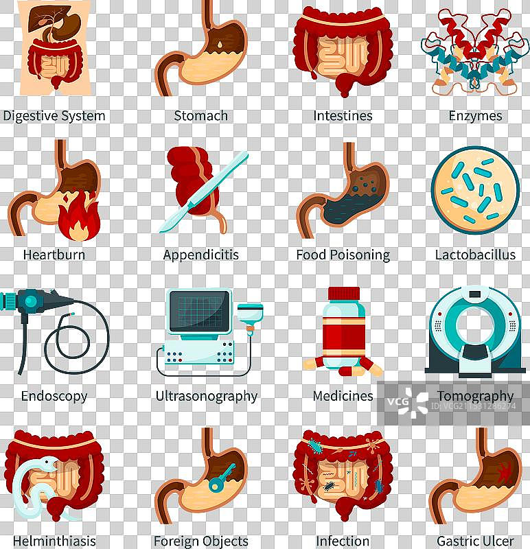 消化系统扁平图标集图片素材