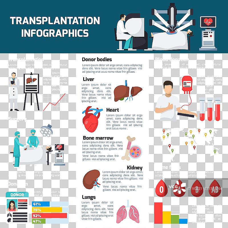 移植正交信息图表图片素材