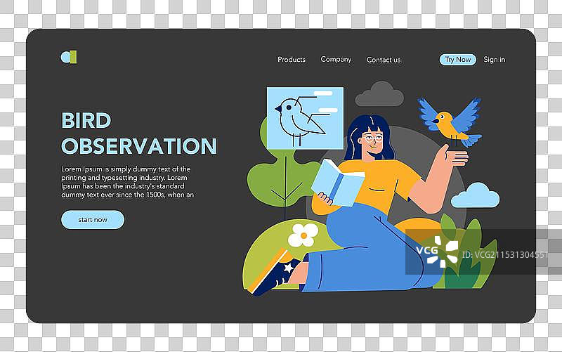 鸟类观察平面图图片素材