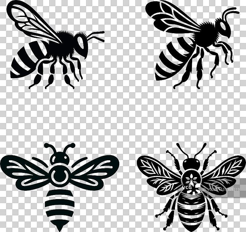 蜜蜂剪影艺术作品图片素材
