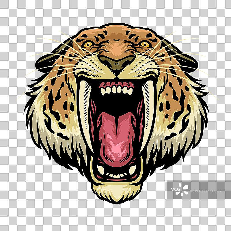 愤怒的剑齿虎狮头图片素材