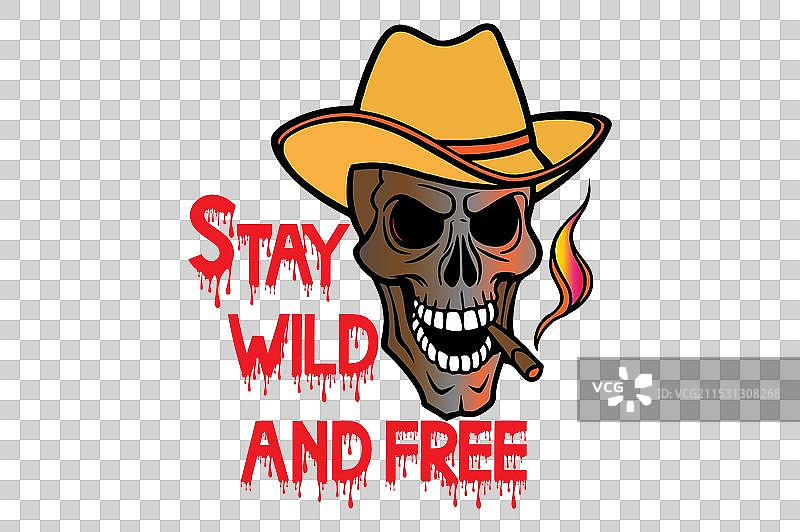 人类头骨图片素材