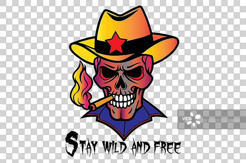 人类头骨图片素材