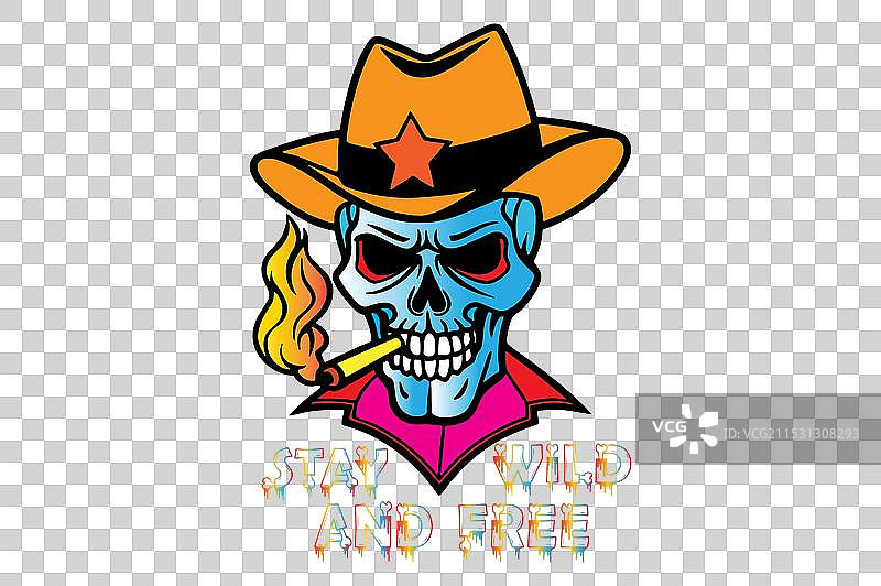 人类头骨图片素材