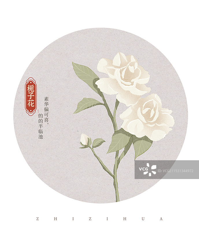 栀子花国潮国风水彩插画图片素材